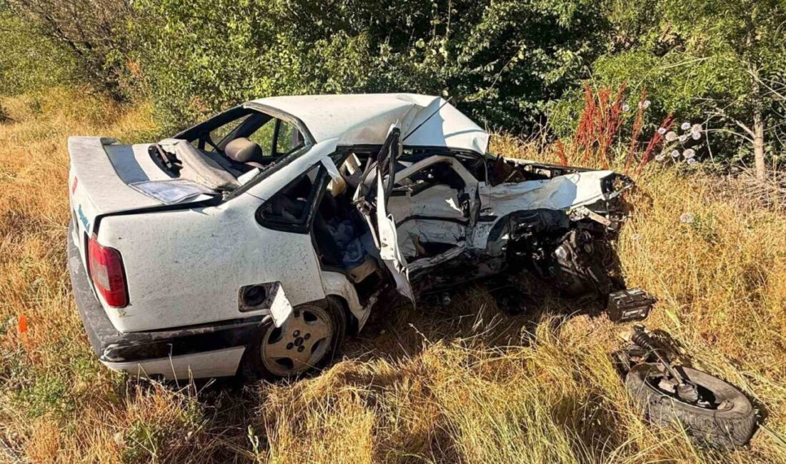 Afyonkarahisar’da meydana gelen trafik kazasında 1 kişi hayatını kaybetti ve