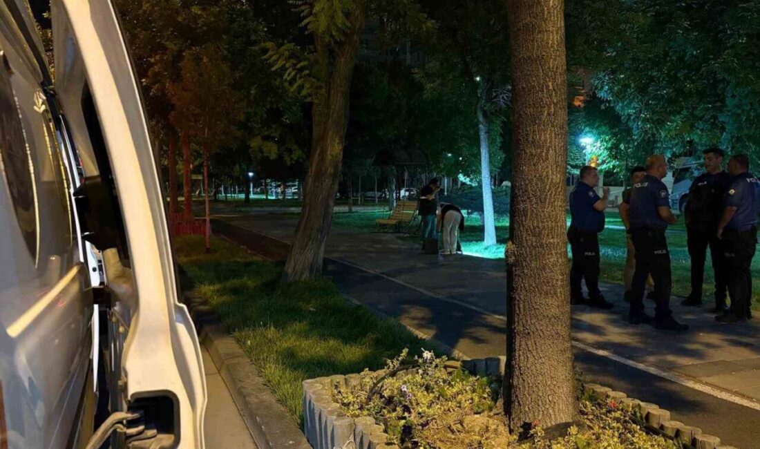 Kocasinan ilçesinde otostop yapan iki kişi tarafından araçlarına alındıktan sonra