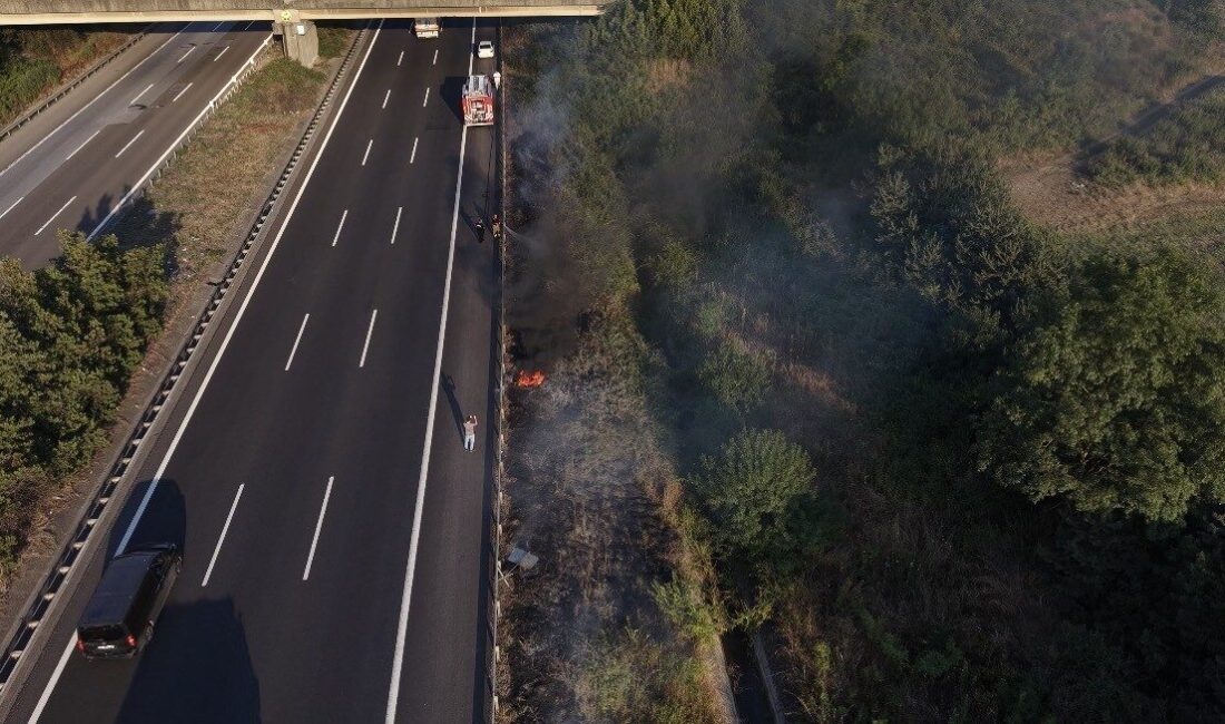 Anadolu Otoyolu’nun Düzce geçişinde, yol kenarına atılan bir izmarit yangına