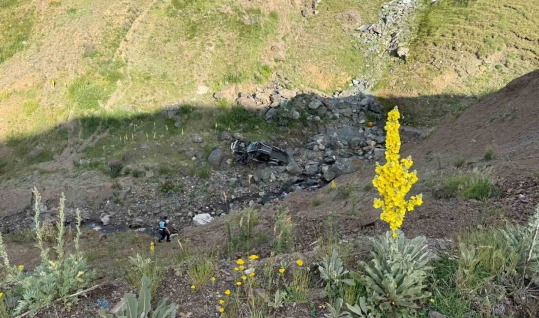 Erzurum’un Palandöken Geçidi’nde, 2885 metre rakımlı noktada meydana gelen korkunç