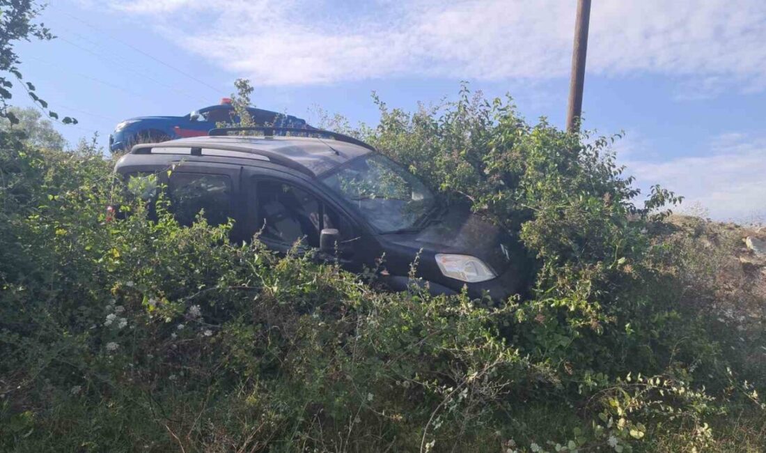 Zonguldak’ın Çaycuma ilçesine bağlı Karapınar beldesinde, sürücü aracın kontrolünü kaybederek