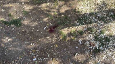 Eskişehir’de Kumlubel Parkı’nda oturan bir kişi, döner bıçağıyla yaralayan ve