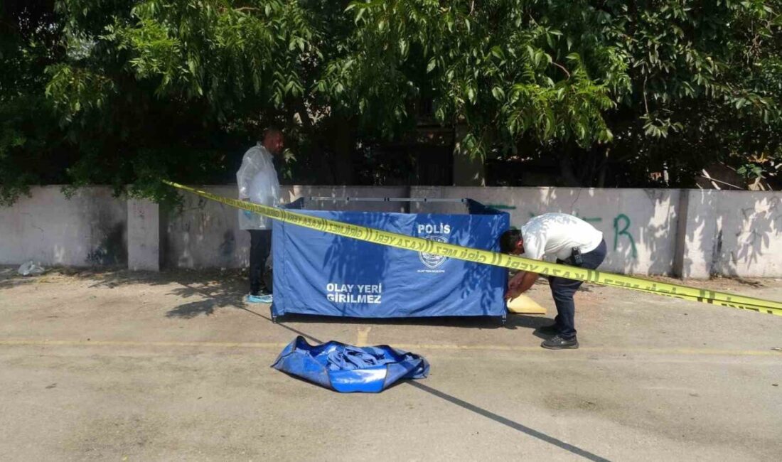 Antalya’nın Muratpaşa ilçesinde pazar alanında boş bir şekilde yatan bir