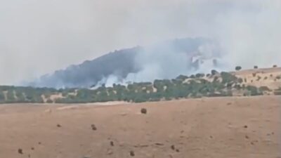 Malatya’nın Pütürge ilçesine bağlı Aktarla Mahallesi’nde geniş bir alanda orman