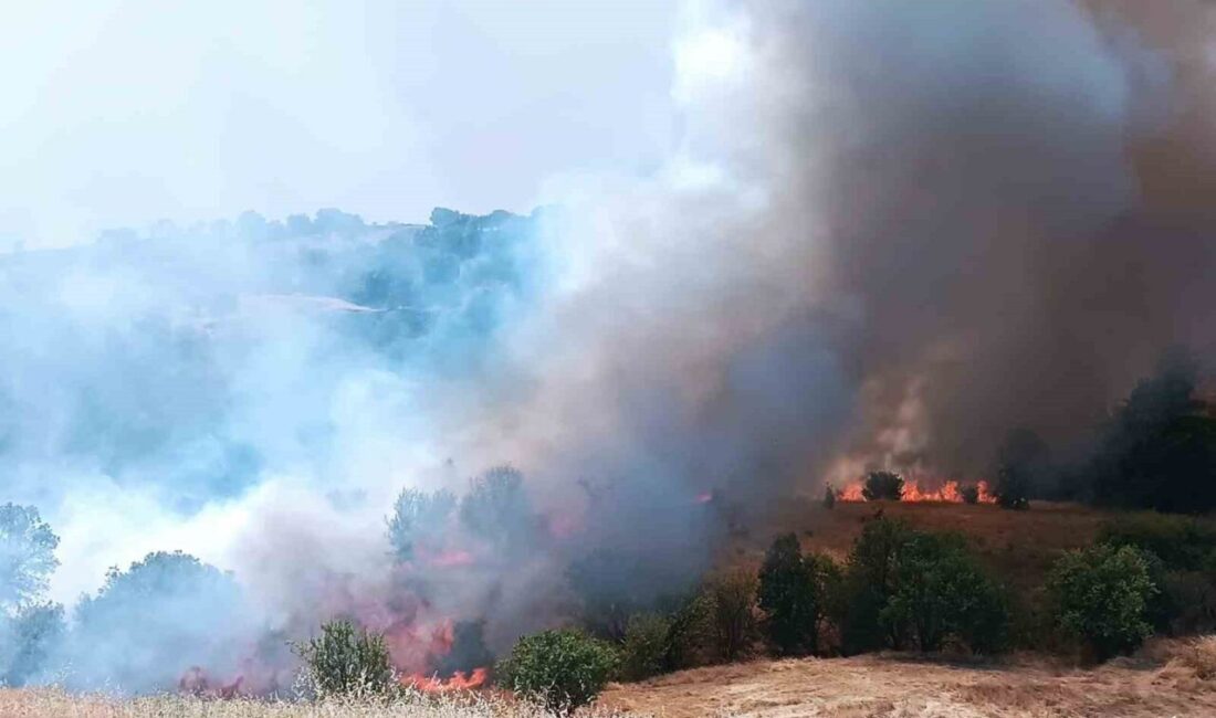 Malatya’nın Pütürge ilçesinde geniş bir alanda çıkan orman ve örtü