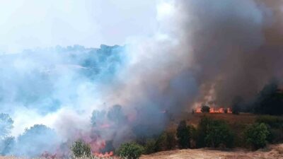 Malatya’nın Pütürge ilçesinde geniş bir alanda çıkan orman ve örtü