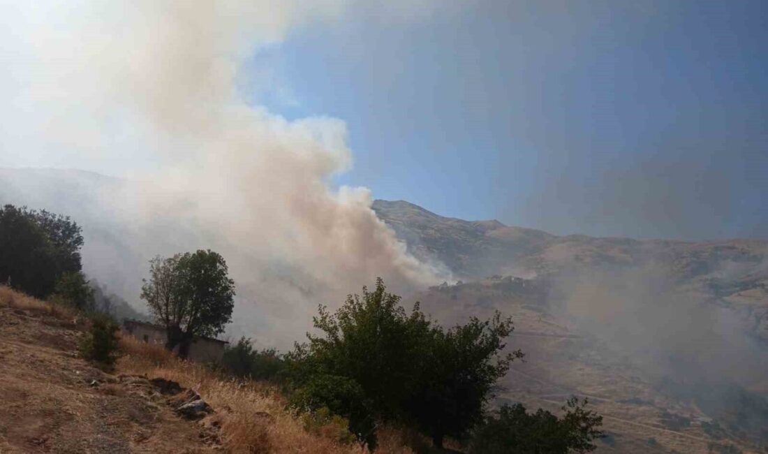 Pütürge ilçesi, Malatya’da meydana gelen arazi yangınına 20 araç ve