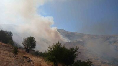 Pütürge ilçesi, Malatya’da meydana gelen arazi yangınına 20 araç ve