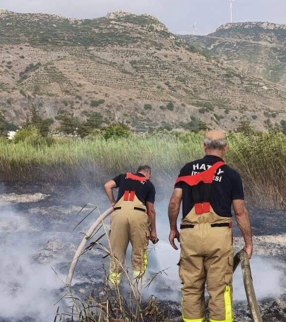 Samandağ ilçesindeki bir bahçe yangını, ekiplerin hızlı müdahalesiyle kontrol altına