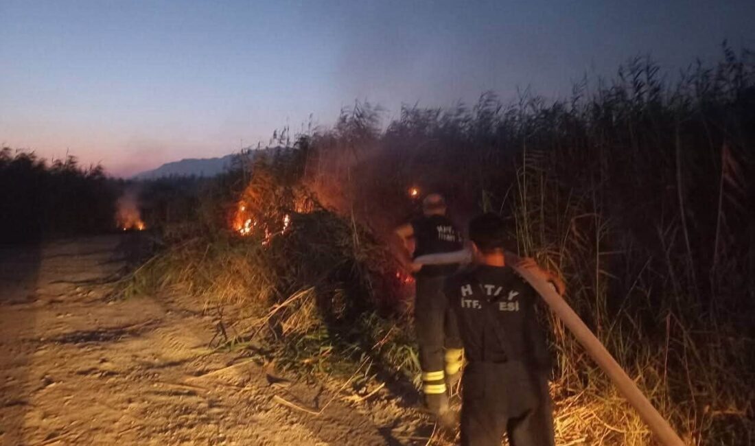 Hatay’da Samandağ ilçesi Meydan Mahallesi’nde bulunan kamışlık alanda çıkan yangın,