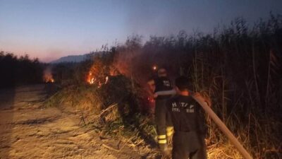 Hatay’da Samandağ ilçesi Meydan Mahallesi’nde bulunan kamışlık alanda çıkan yangın,