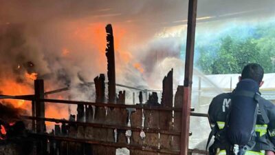 Muğla’nın Ula ilçesine bağlı Portakallık Mahallesi’nde, hayvanların bağlı olduğu ve