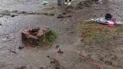 Siverek’ten Tekke köyüne fındık toplamak için giden mevsimlik tarım işçilerinin