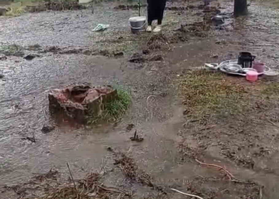 Siverek’ten Tekke köyüne fındık toplamak için giden mevsimlik tarım işçilerinin