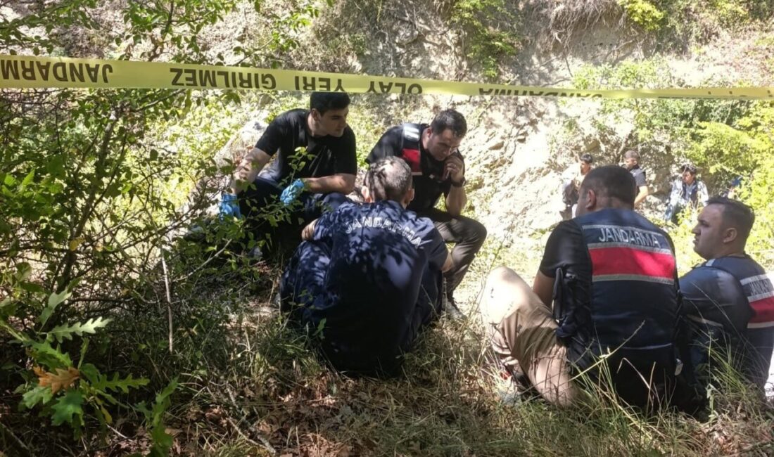 Samsun’un Vezirköprü ilçesinde koyunlarını otlamak için ormanlık alana giden bir
