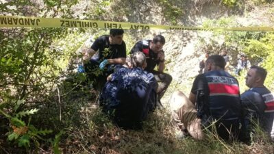 Samsun’un Vezirköprü ilçesinde koyunlarını otlamak için ormanlık alana giden bir