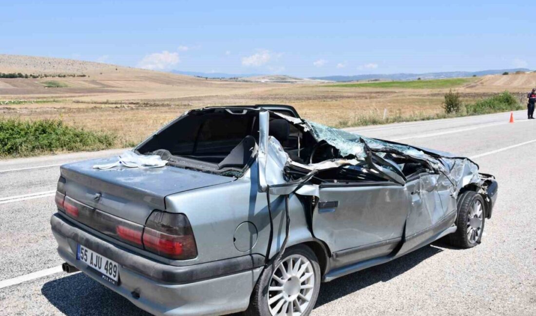 Samsun’un Vezirköprü ilçesinde meydana gelen trafik kazasında otomobil ile kamyonet