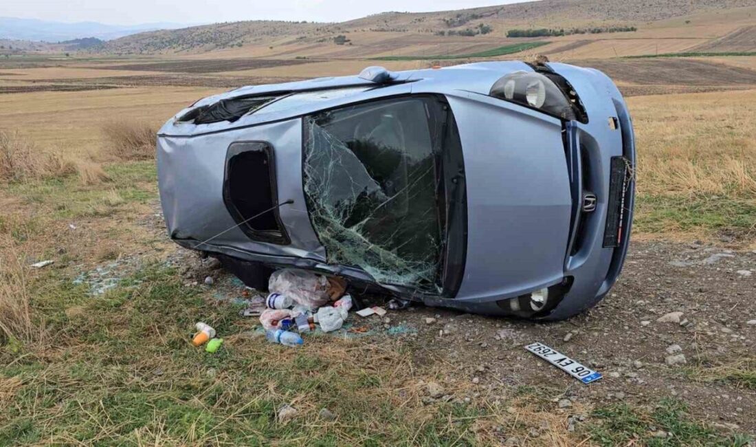 Samsun iline bağlı Vezirköprü ilçesinde meydana gelen bir trafik kazasında