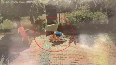Samsun’da bir sitenin bahçesinde ağızlığı olmayan bir pitbull cinsi köpek,
