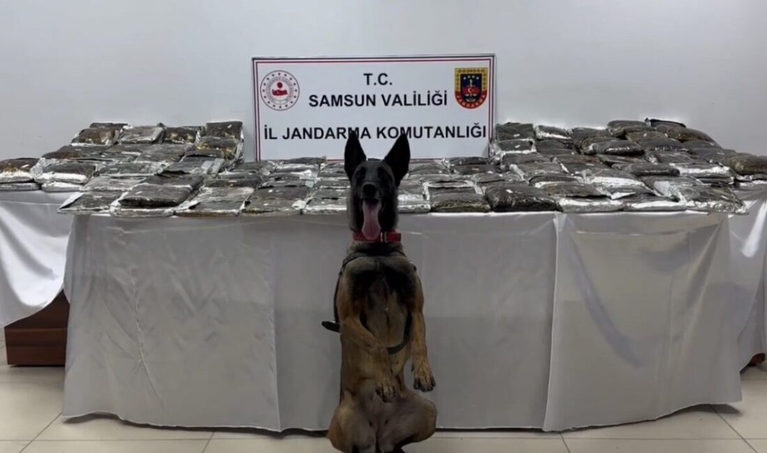 Samsun’da Jandarma ekipleri, uyuşturucu madde imalatçılarına yönelik gerçekleştirdikleri operasyonda bir