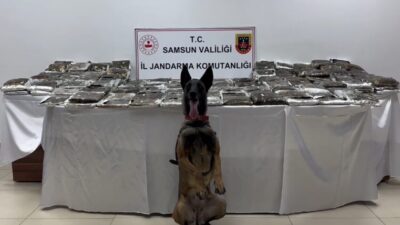 Samsun’da Jandarma ekipleri, uyuşturucu madde imalatçılarına yönelik gerçekleştirdikleri operasyonda bir