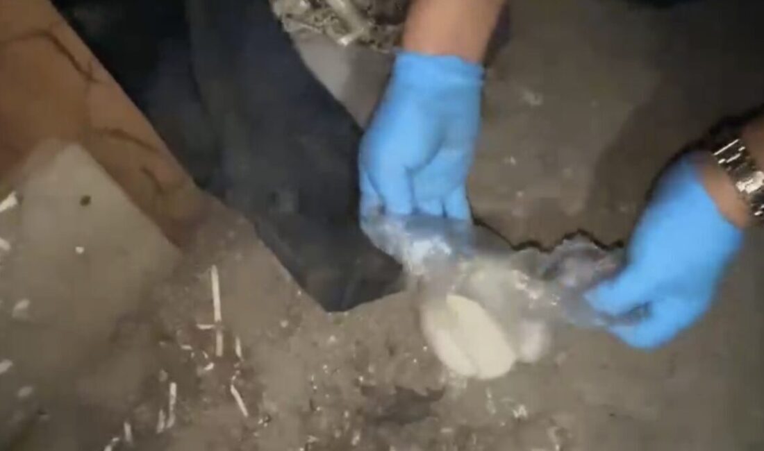 Samsun’da polis ekipleri, uyuşturucuyla mücadele kapsamında İlkadım ve Çarşamba ilçelerinde
