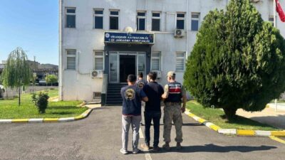Şanlıurfa’nın Viranşehir ilçesinde bir hükümlü, “çocuğu veya beden veya ruh