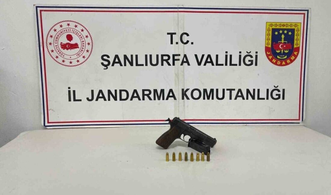 Birecik ilçesinde düzenlenen bir düğünde silahla ateş eden kişi, Jandarma