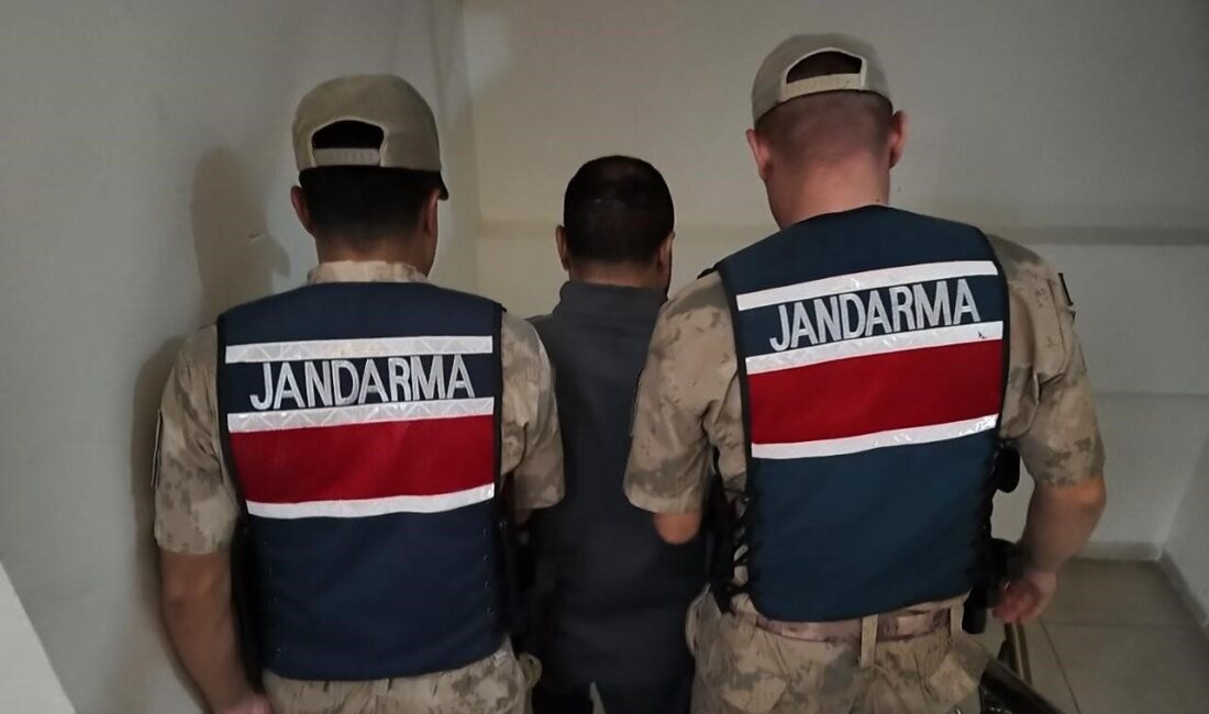 Şanlıurfa’da jandarma ekipleri tarafından yürütülen bir operasyonda, göçmen kaçakçılığı faaliyetleri