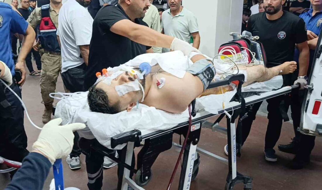 Viranşehir ilçesinde meydana gelen silahlı saldırı sonucunda biri çocuk olmak