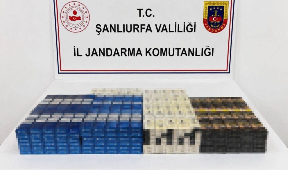 Şanlıurfa’da düzenlenen bir operasyonda, 6.940 paket kaçak sigara ve 3