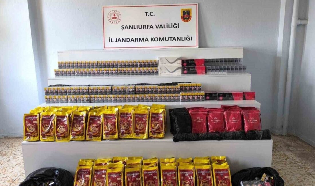 Viranşehir ilçesindeki jandarma ekipleri tarafından yürütülen operasyonlarda 16 kişiye karşı