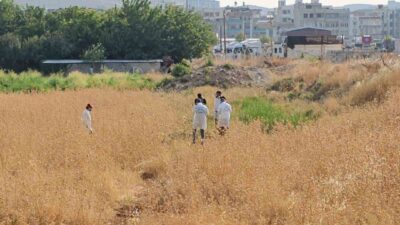 Şanlıurfa’da yaşanan olayda, vatandaşlar tarladan gelen kötü kokuların ardından boş