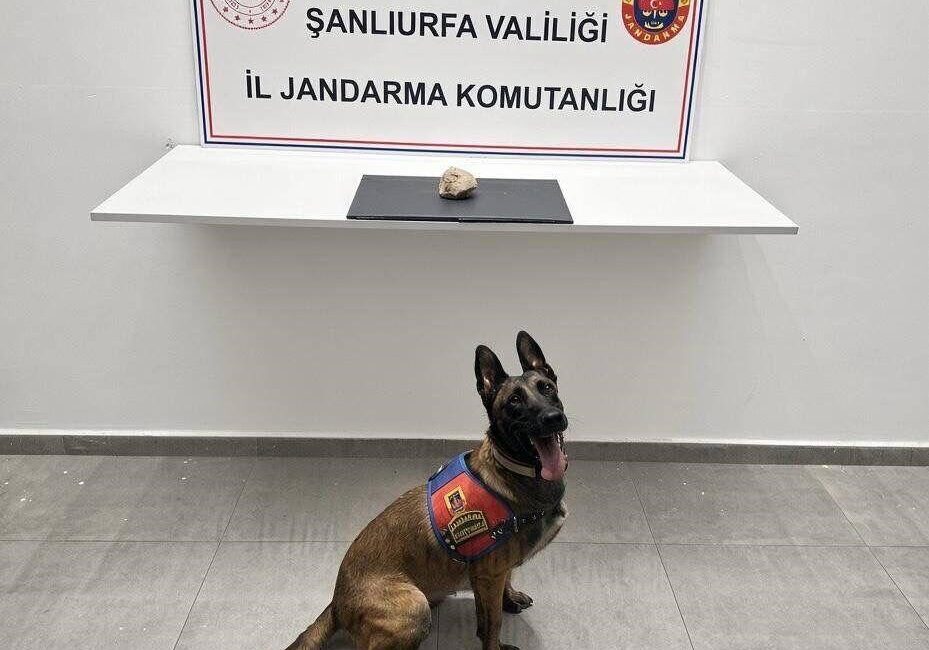 Şanlıurfa ilinde jandarma ekipleri tarafından gerçekleştirilen operasyonda 500 gram sentetik