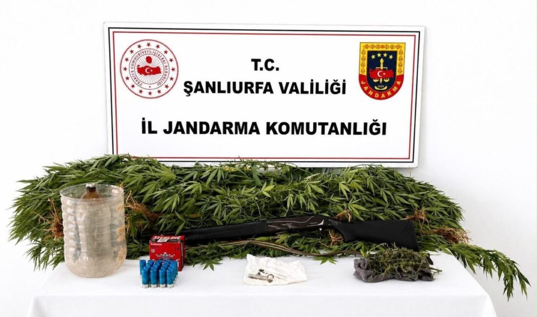 Şanlıurfa’nın Akçakale ilçesinde gerçekleştirilen operasyonda bir miktar uyuşturucu madde bulundu