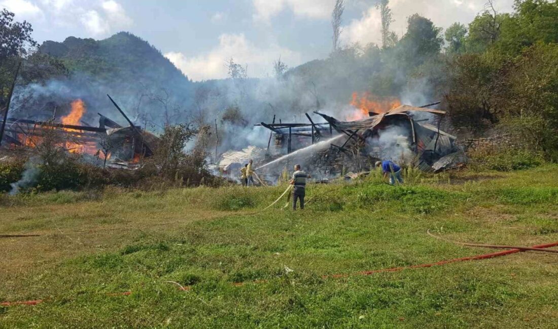 Artvin’in Şavşat ilçesine bağlı Erikli köyünde meydana gelen yangında, 2