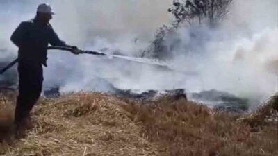 Beyşehir ilçesinde, göl kıyısındaki sazlık alanda çıkan yangın, şiddetli rüzgarın