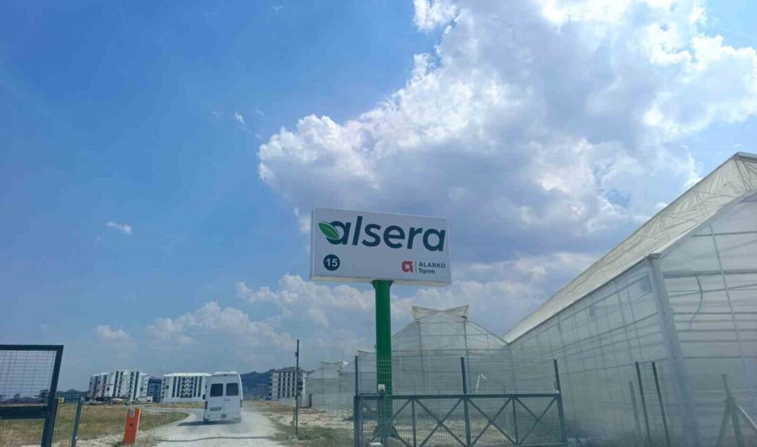 Afyonkarahisar’da, zehirlenme vakası yaşanan bir domates serasında hastaneye kaldırılanların sayısı
