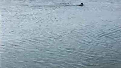 Sakarya’nın Pamukova ilçesinde, Fevziye Mahallesi’nde yaşanan acı bir olayda, 18
