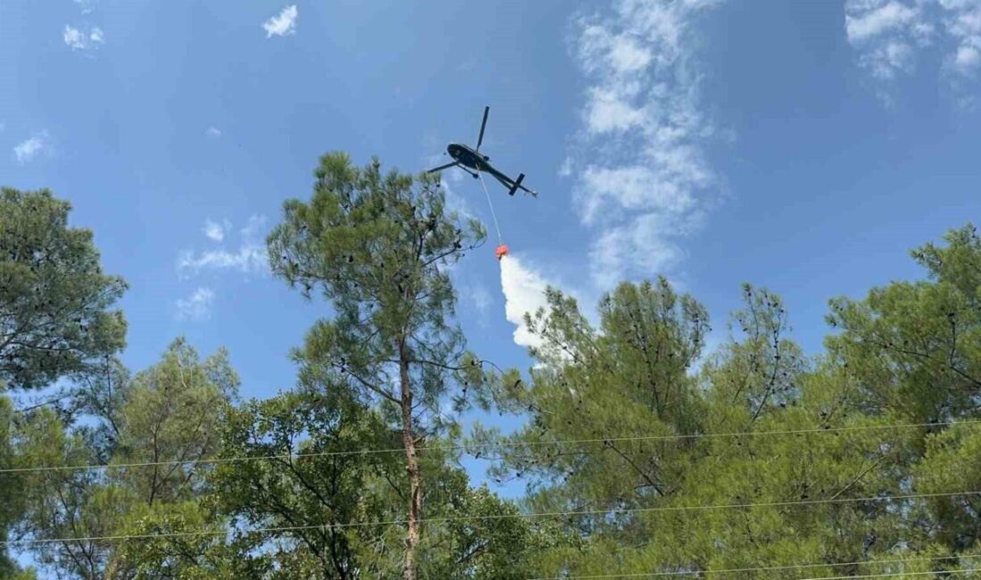 Muğla’nın Seydikemer ilçesinde çıkan orman yangını, ekiplerin hava ve karadan
