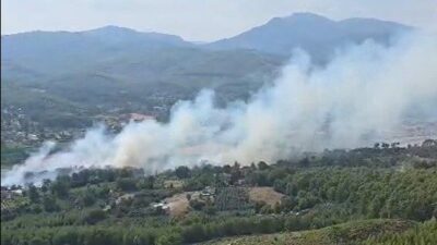 Muğla’nın Seydikemer ilçesinde çıkan orman yangınında ekipler, alevlerin yayılmasını engellemek