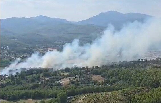 Muğla’nın Seydikemer ilçesinde çıkan orman yangınında ekipler, alevlerin yayılmasını engellemek