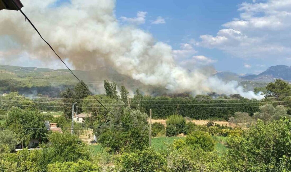 Muğla’nın Seydikemer ilçesinde yer alan ormanlık alanda çıkan yangınla mücadele