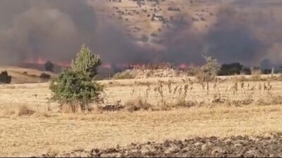 Seyitgazi ilçesine bağlı Cevizli Mahallesi’nde tarım arazilerinin bulunduğu alanda yangın