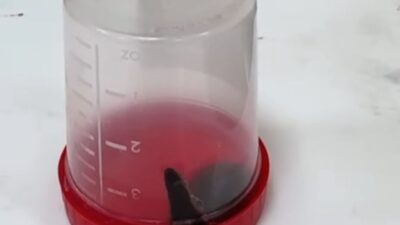 Baykan ilçesinde yaşanan olayda, bir çocuğun çeşmeden su içtikten sonra