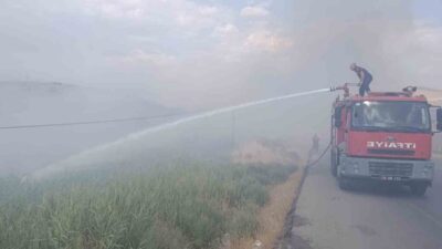 Siirt Üniversitesi Kezer Kampüsü yakınlarında meydana gelen yangında 100 dönümden