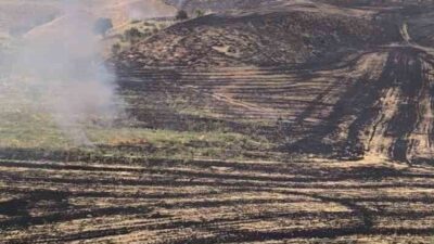 Siirt’in Kurtalan ilçesindeki bir anız yangını, yakın bir meyve bahçesine