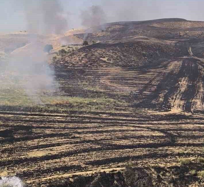 Siirt’in Kurtalan ilçesindeki bir anız yangını, yakın bir meyve bahçesine