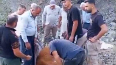 Siirt’in Baykan ilçesine bağlı Ardıçdalı köyünde, dağlık alanda mahsur kalan