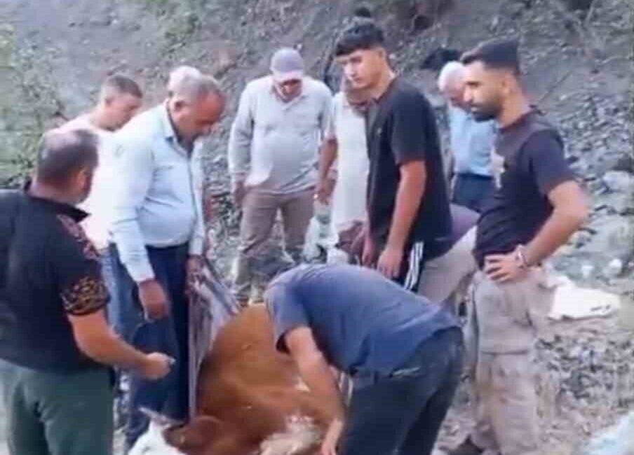 Siirt’in Baykan ilçesine bağlı Ardıçdalı köyünde, dağlık alanda mahsur kalan